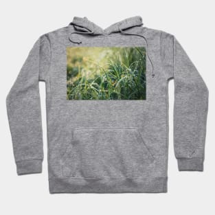 grass dew Hoodie